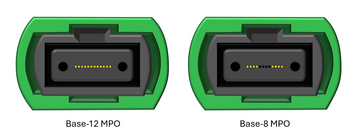 A Base-12 MPO connector with 12 fibers and a Base-8 MPO connector with 8 fibers.