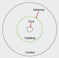 Size, Number and Region Matter