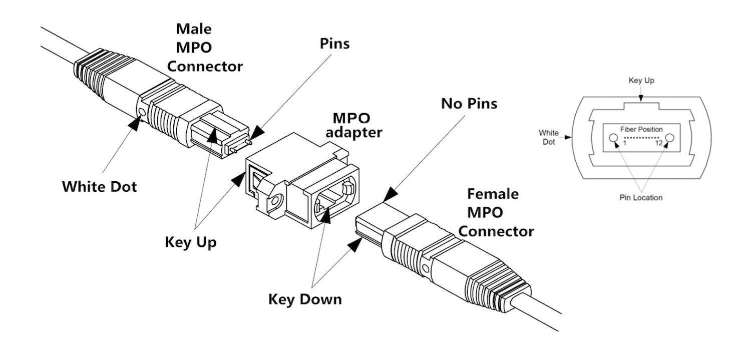 The structure of a male (with pins) MPO connector and a female (without pins) MPO connector.