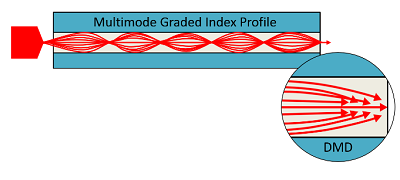 DMD Dependent