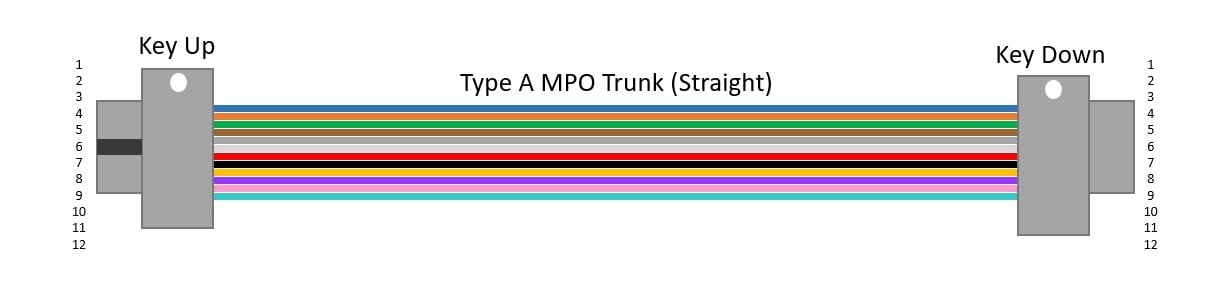 Graphic of a Type A straight-through MPO trunk cable.