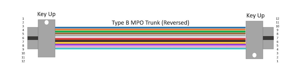 Graphic of a Type B reversed MPO trunk cable.