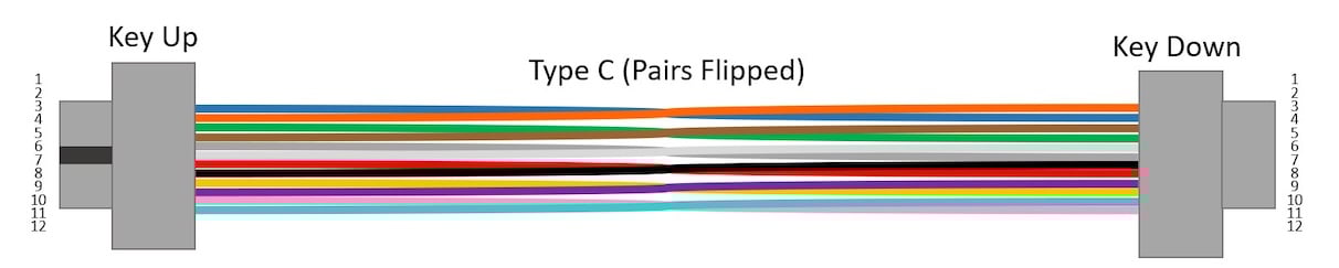 Graphic of a Type C flipped MPO trunk cable.